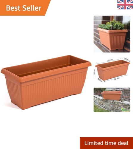 Corinthian trough flower - corinthian,