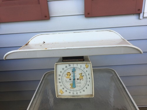Vintage hanson pound - vintage,