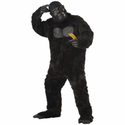 Gorilla goin ape - ape, king