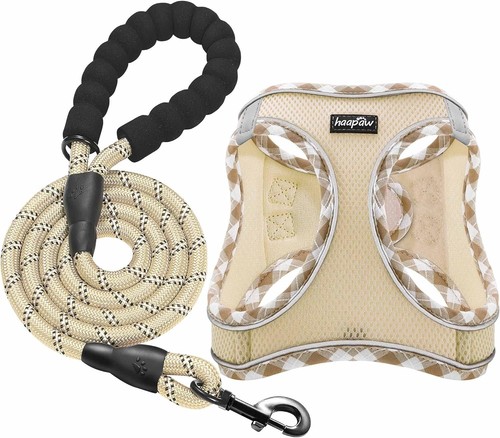 Haapaw dog harness and - haapaw,