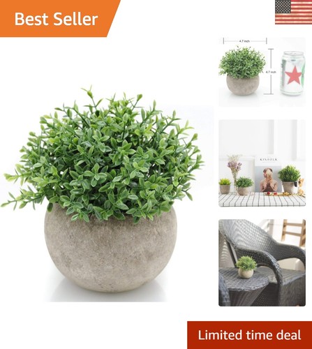 Realistic mini boxwood - mini, topiary