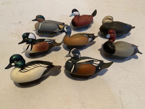 Jett brunet mini - jett, duck
