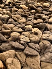 Dreamweavers Pebble Rug 180 x 270cm