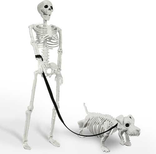Lighted human dog skeleton - lighted, &