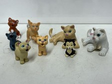 Animal Hospital RSPCA Cat