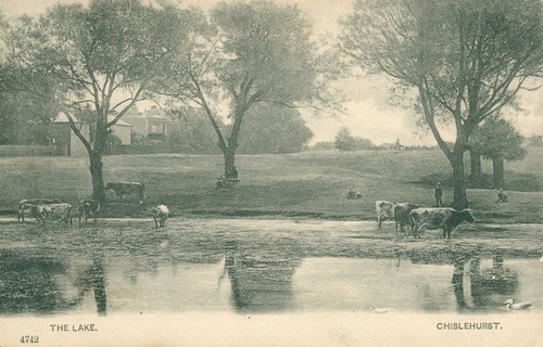 Chislehurst the lake - chislehurst,