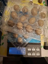 12 CPQ Quail Eggs. Raw Food For Reptiles. Nutritious. Freezer Safe. 4g to 7g.
