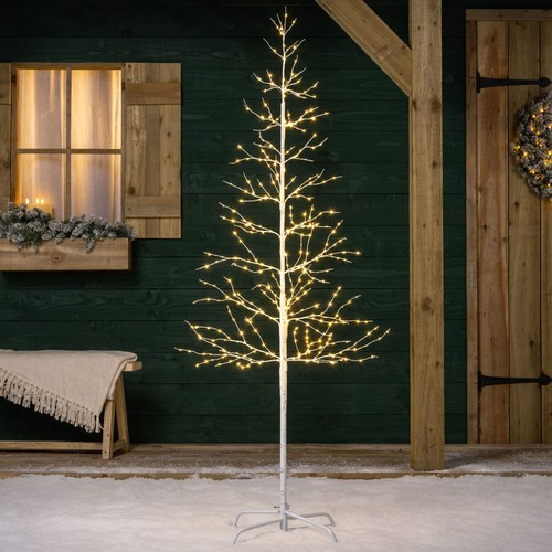 White birch twig tree - twig,