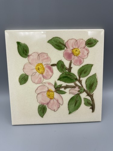 Franciscan desert rose - franciscan,