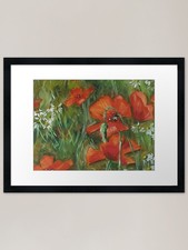 Macro poppy bloom - poppy, bloom: