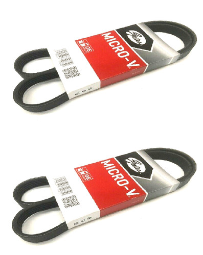 Gates drive belt - drive,