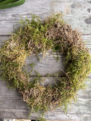 Real moss wreath rings - ,