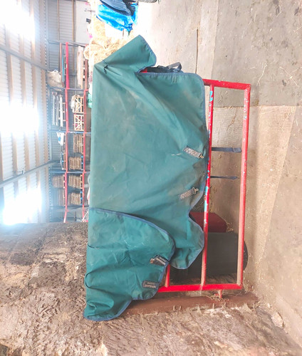 Amigo turnout rug pony 5ft - turnout,
