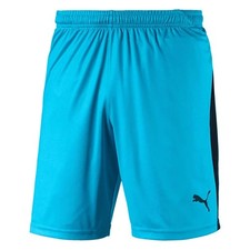 PUMA Mens Football Shorts Liga