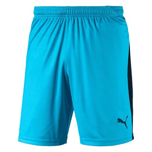 Puma mens football shorts liga - mens,