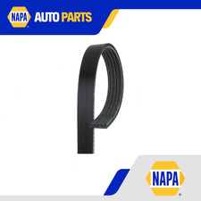 5 Rib Multi V Drive Belt fits