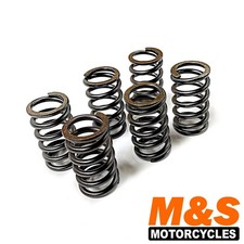 EBC Heavy Duty Clutch Springs
