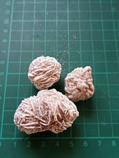 3 Small Desert Roses Natural