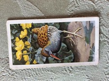 a1z trade card brooke bond no