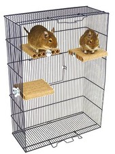 Degu Shelf - Small pet toy, degu, rat, gerbil, hamster, cage accessory.