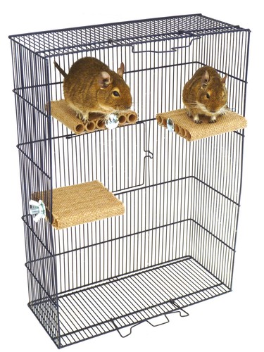 Totally degu shelf - shelf, small
