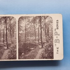Stereoview Card 3D C1900
