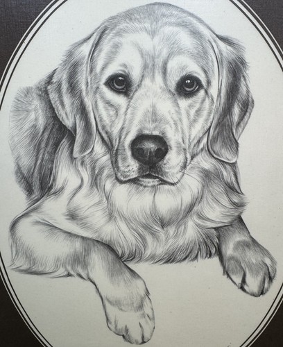 Pollyanna pickering framed art - pollyanna,