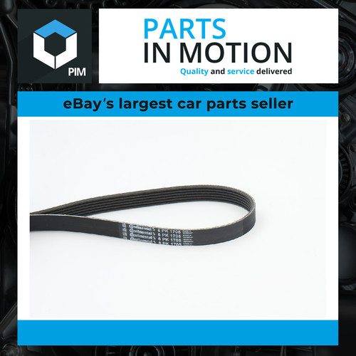 Rib multi drive belt fits - drive,