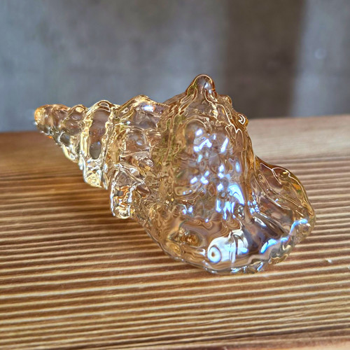 Mini champagne glass seashell - champagne,