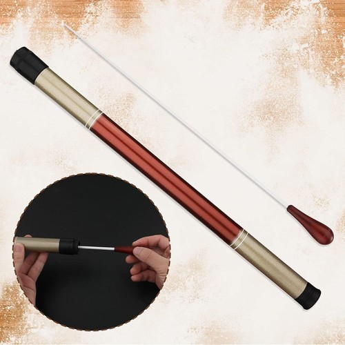 Rhythm music wand - wand, concert