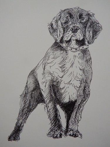 Original hand drawn - , black