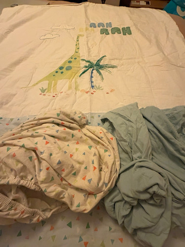 Baby boy dinosaur nursery