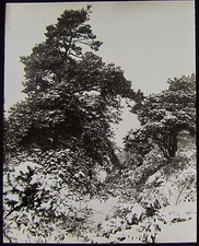 Glass Magic Lantern Slide