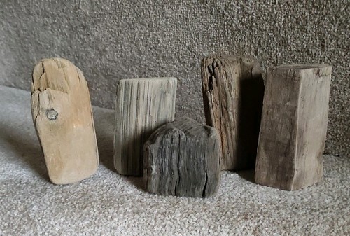 Pieces natural driftwood - 5, of