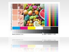 The Monitor Calibration Target