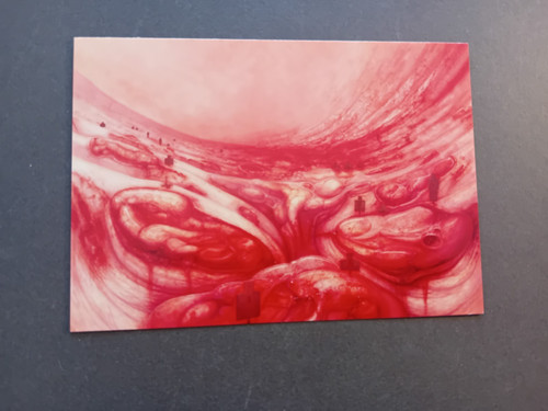 Giger art postcard - giger,