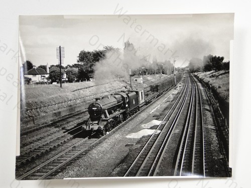 Steam train locomotive 48203 - train,