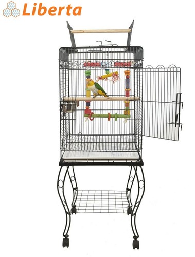 Liberta gama small parrot - gama,