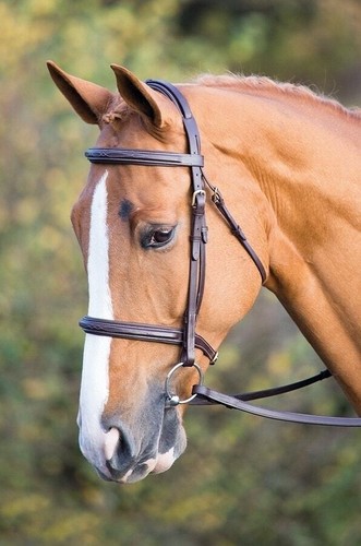 Shires salisbury fairford - shires,