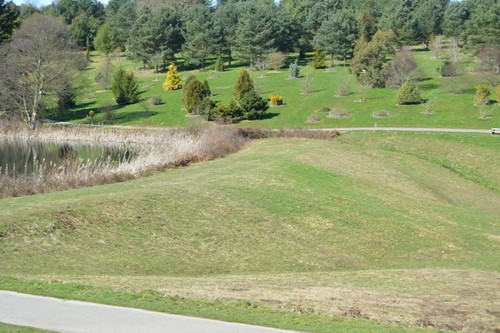 Photo 6x4 dam bedgebury - 6x4,