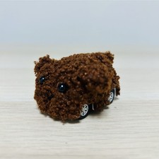 [Rare] Toy Poodle Miniature
