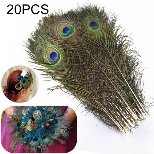 20pcs set peacock - 20pcs/set, feathers