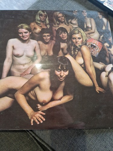 The jimi hendrix experience - the,
