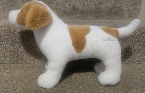 Mieux jack russell puppy - le,