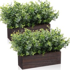 2 Pack Artificial Eucalyptus