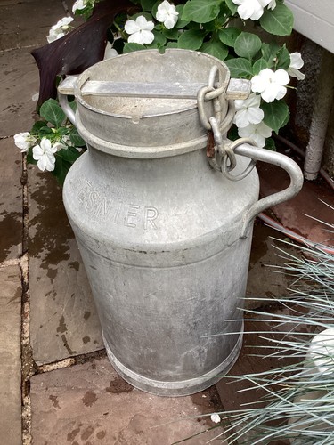 Vintage french milk churn - milk,
