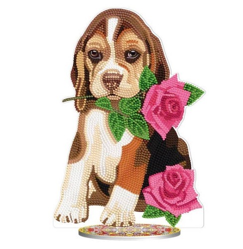 Beagle puppy rose - puppy,