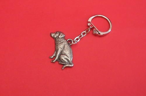 Labrador retriever dog pewter - labrador,