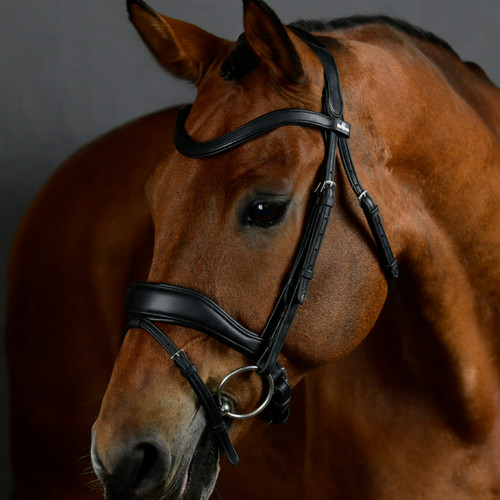 Collegiate horse comfitec - horse,