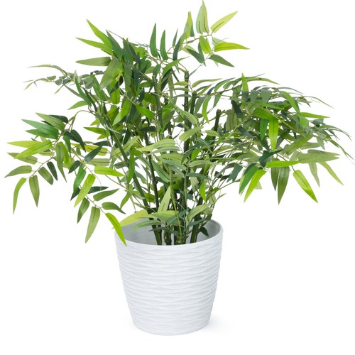 Livivo decorative plastic - decorative,